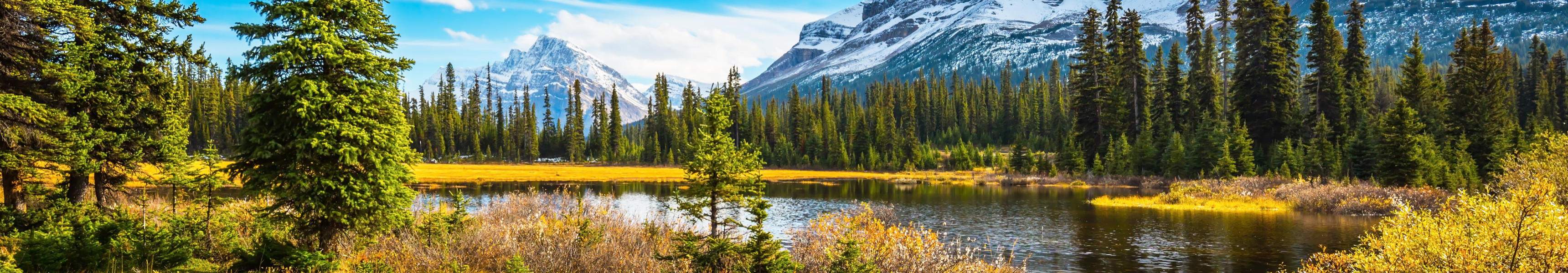 AdobeStock 176684148 1 