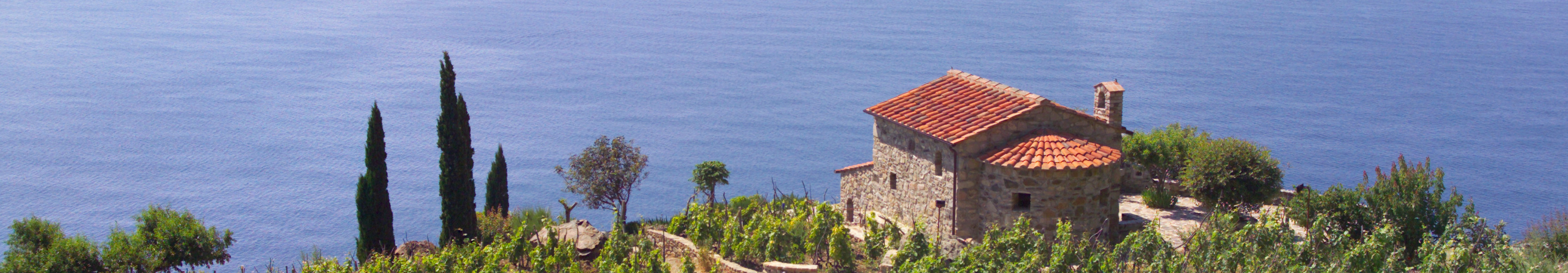 Weinberge mit Steinhaus und rotem Ziegeldach &uuml;ber dem Meer auf Elba.