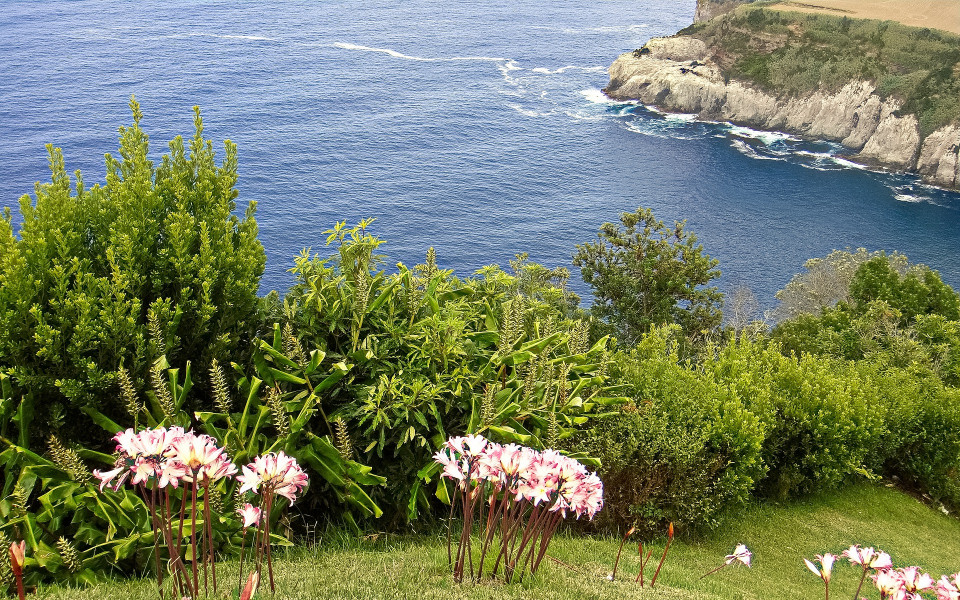 Insel S&atilde;o Miguel auf den Azoren